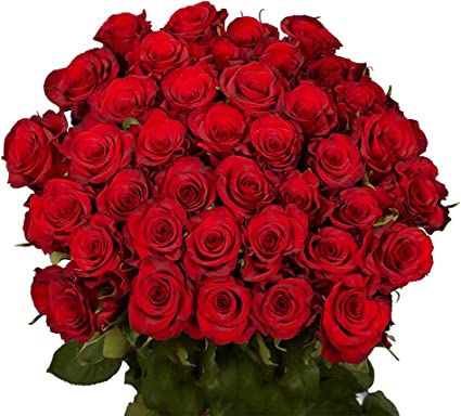 Regalan Flores Amarillas Download APK